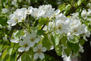 Similar image 638691