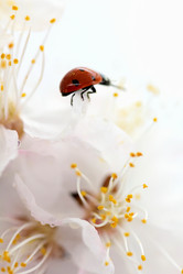 Similar image 638693