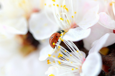 Similar image 638697