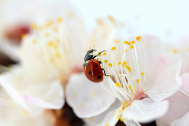 Similar image 638698