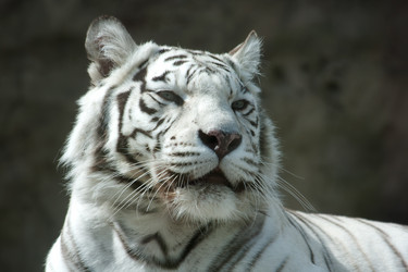 Similar image 638700