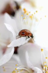 Similar image 638703