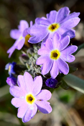 Similar image 638735