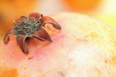 Similar image 638744