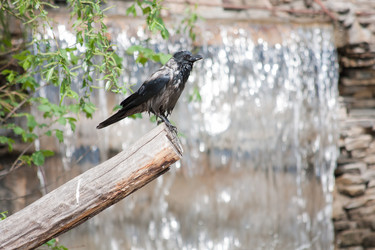 Similar image 638747