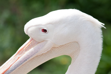 Similar image 638763