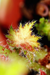 Similar image 638794