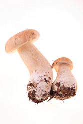 Similar image 638903