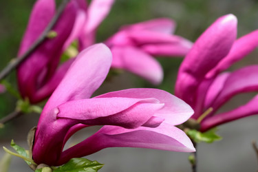 Similar image 638919