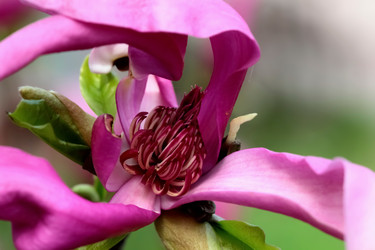 Similar image 638920