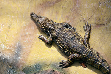 Similar image 638966