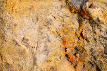 Similar image 638986