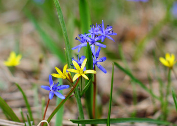 Similar image 639139