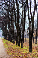 Similar image 639149