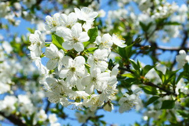 Similar image 639171