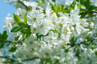 Similar image 639174