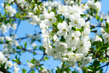 Similar image 639176