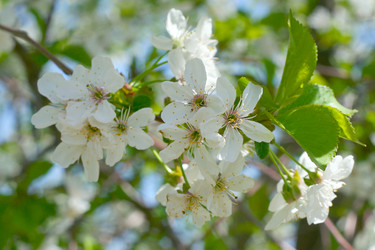 Similar image 639177