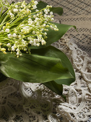 Similar image 639200