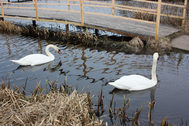 Similar image 639238