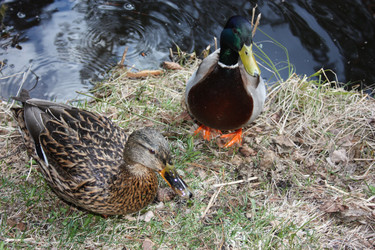 Similar image 639240