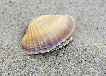 Similar image 639242