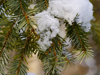 Similar image 639246