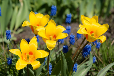 Similar image 639255