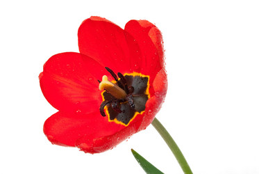 Similar image 639264