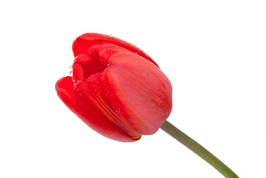 Similar image 639265