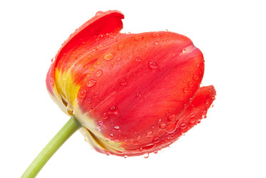 Similar image 639267