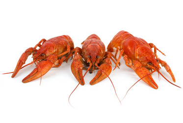 Similar image 639302