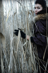 Similar image 639410