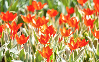 Similar image 639419