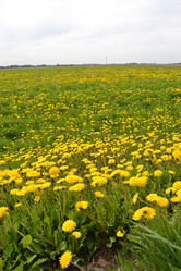 Similar image 639498