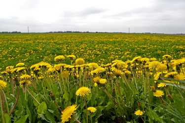 Similar image 639499