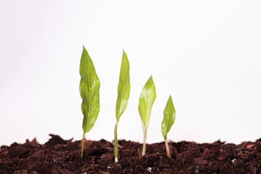 Similar image 639511