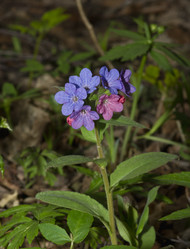 Similar image 639522