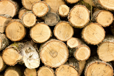 Similar image 639532