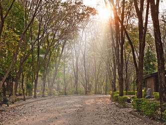 Similar image 639630