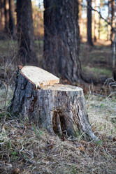 Similar image 639633