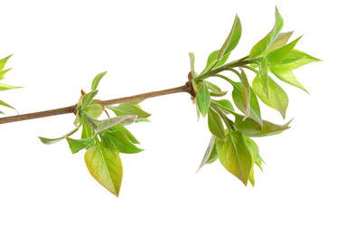 Similar image 639636