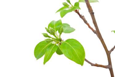 Similar image 639643