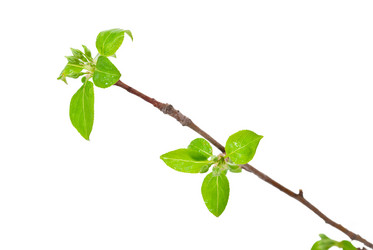 Similar image 639644