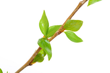 Similar image 639645