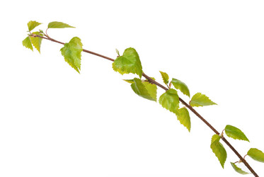 Similar image 639646