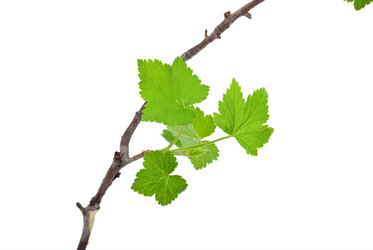 Similar image 639649