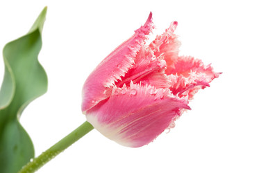 Similar image 639654