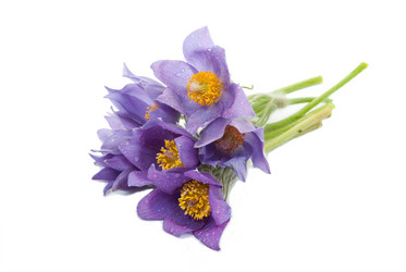 Similar image 639660