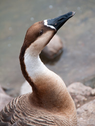 Similar image 639796